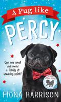 A Pug Like Percy