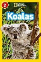 Koalas