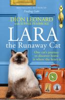Lara the Runaway Cat
