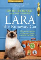 Lara The Runaway Cat