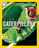 Face to Face With Caterpillars