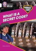 What Are Secret Codes?