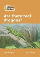 Are There Real Dragons?