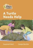 A Turtle Needs Help