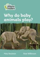 Why Do Baby Animals Play?