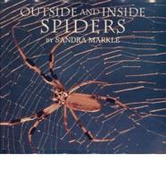 Outside and Inside Spiders