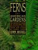 Ferns for American Gardens