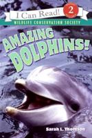 Amazing Dolphins!