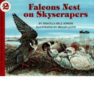 Falcons Nest on Skyscrapers