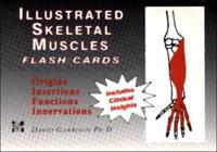 Illustrated Skeletal Muscle Flash Cards