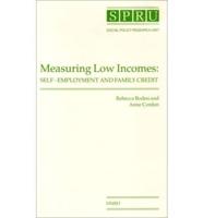 Measuring Low Incomes