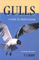 Gulls