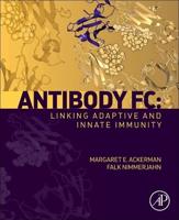 Antibody Fc