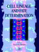 Cell Lineage and Fate Determination