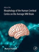 Cytoarchitectonic Atlas of the Human Cerebral Cortex