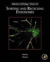 Sorting and Recycling Endosomes