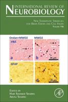 New Therapeutic Strategies for Brain Edema and Cell Injury