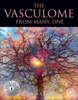 The Vasculome