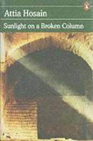 Sunlight on a Broken Column