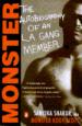 The Autobiography of an L.A. Gang Member