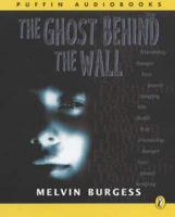 The Ghost Behind the Wall