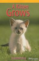 A Kitten Grows