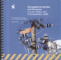National Compensation Survey, Occupational Injuries and Illnesses Chartbook, 2005