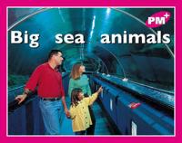 Big Sea Animals