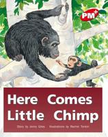 Here Comes Little Chimp