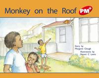 Monkey on the Roof