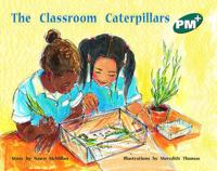 The Classroom Caterpillars