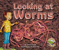 Looking at Worms