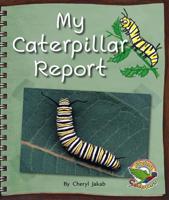 My Caterpillar Report