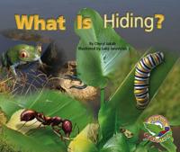 What Is Hiding?