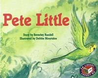 Pete Little PM Set 1 Green (X6)