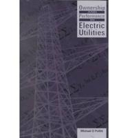 Ownership and Performance in Electric Utilities