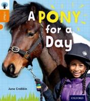 A Pony for a Day
