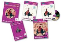 Read Write Inc.: Literacy & Language: Year 4 Easy Buy Pack