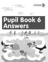 Numicon. Pupil Book 6 Answers