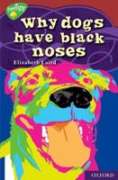 Why Dogs Have Black Noses