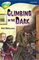 Oxford Reading Tree: Level 14: TreeTops Fiction: Class Pack (36 Books, 6 of Each Title)