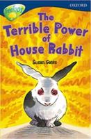 Oxford Reading Tree: Level 14: TreeTops More Stories A: The Terrible Power of House Rabbit