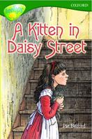 A Kitten in Daisy Street