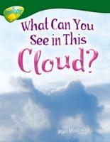 What Can You See in This Cloud?