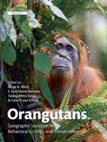 Orangutans