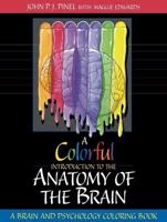 A Colourful Introduction to the Anatomy of the Human Brain