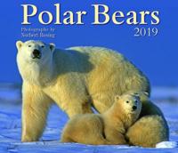 Polar Bears 2019