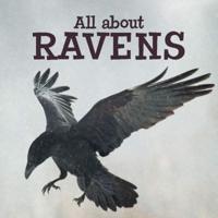 All About Ravens