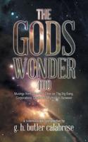 The Gods Wonder Too: Musings From Out of the Ether