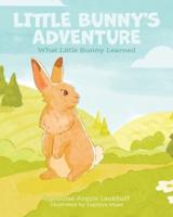 Little Bunny's Adventure
